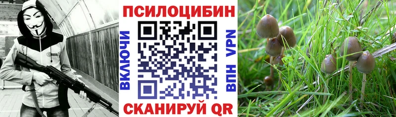 Галлюциногенные грибы мицелий  купить   Глазов 